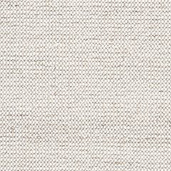 Jossick 7'8" x 10' Rug