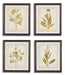 Dyani Wall Art (Set of 4) image