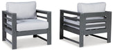 Amora Outdoor Lounge Chair with Cushion (Set of 2) image